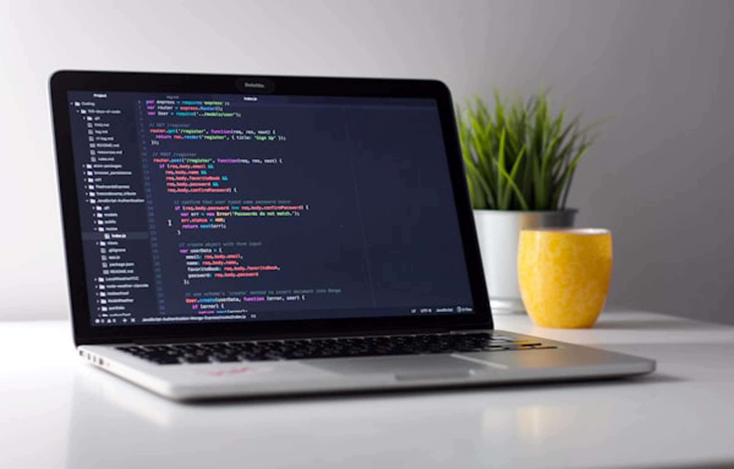 Web Development